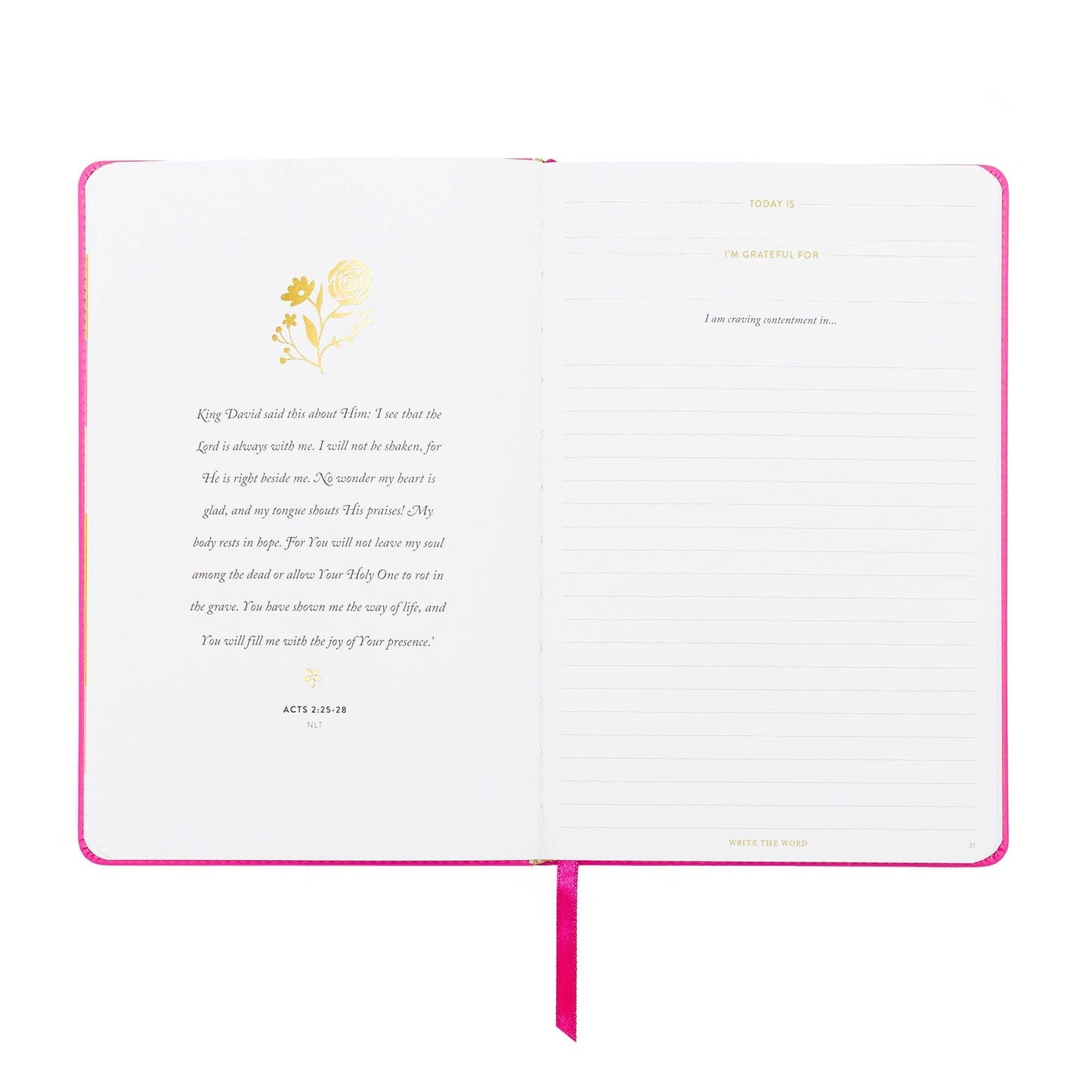 Journal; Write The Word® | Cultivate Contentment (Linen)