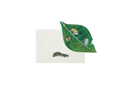 Encouragement Card; Caterpillar (Pop-Up Card)