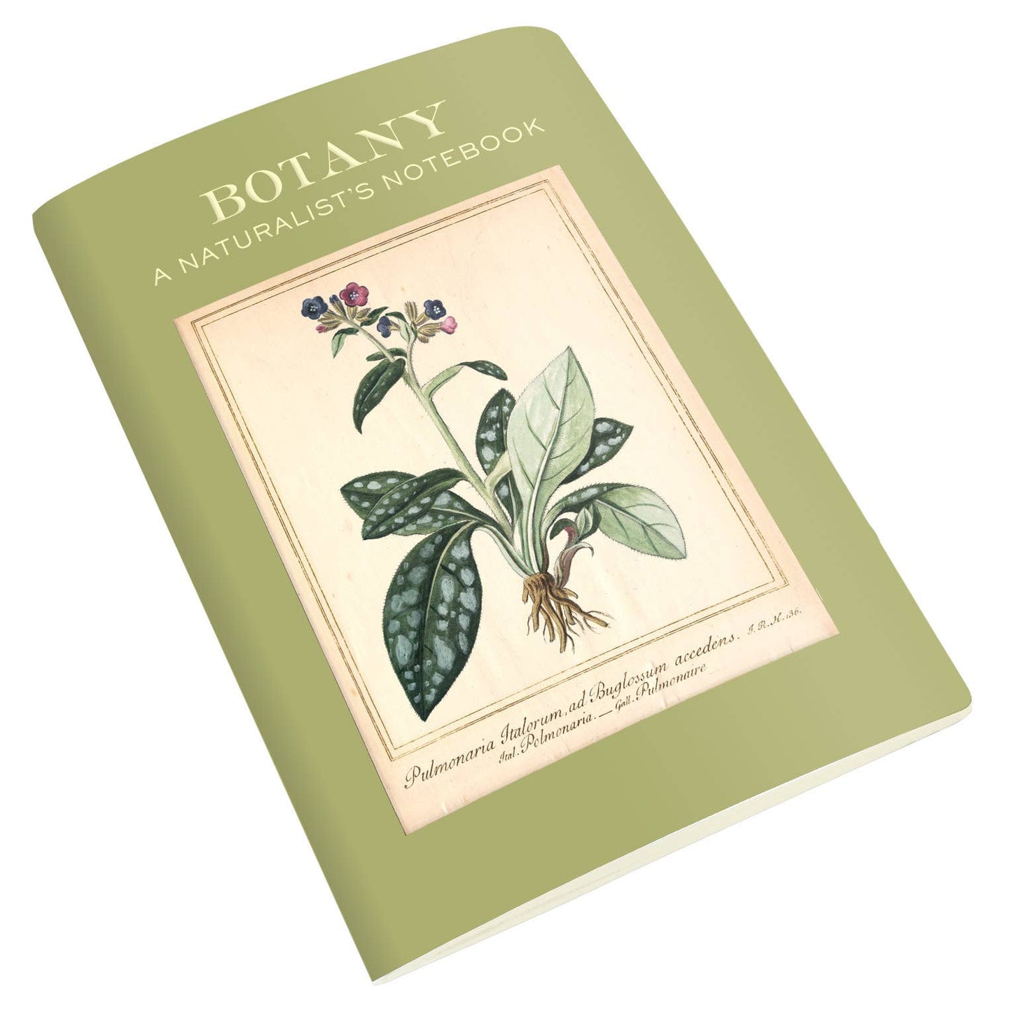 Pocket Notebook; Botany Naturalist