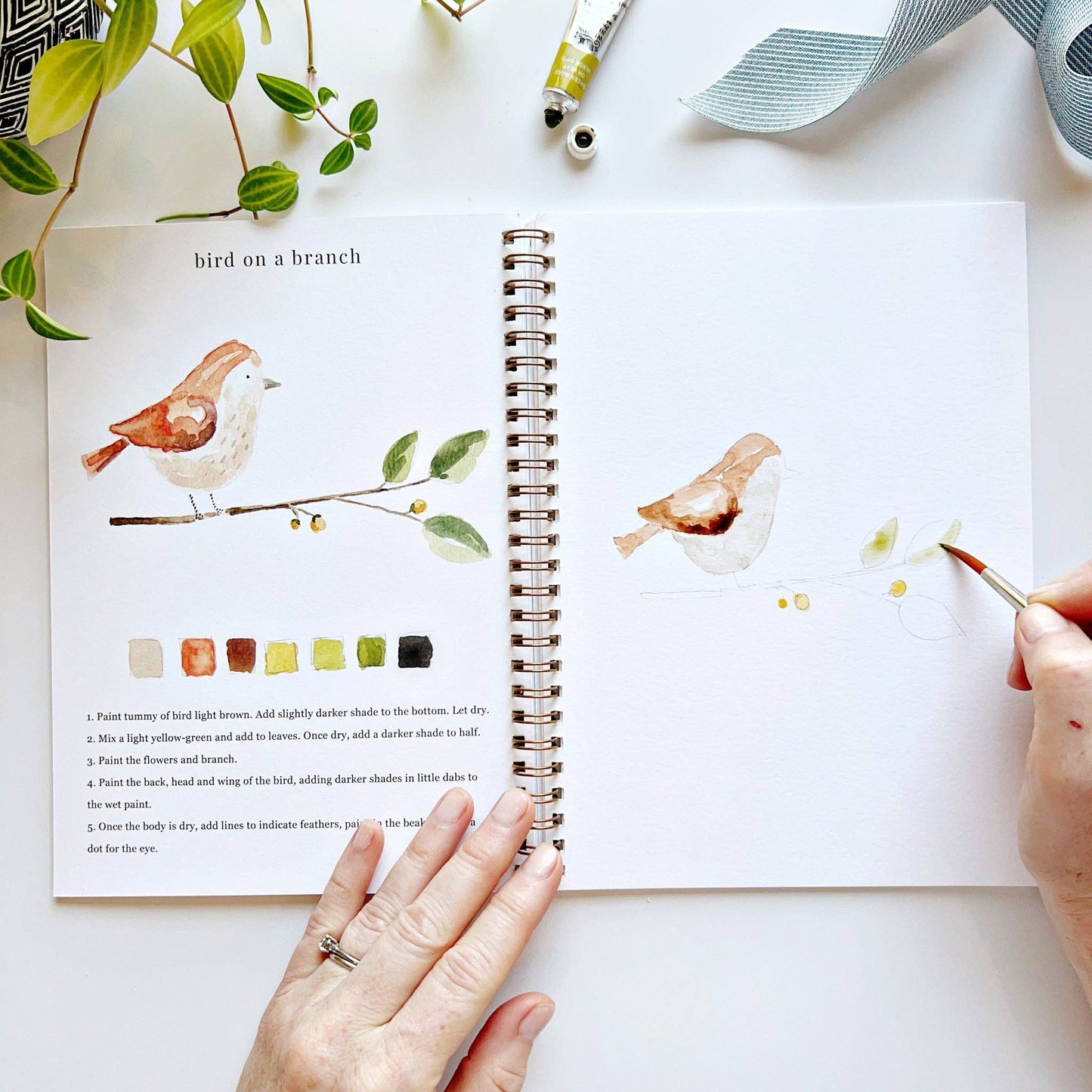 Watercolor Workbook; Animals By Emily Lex Studio