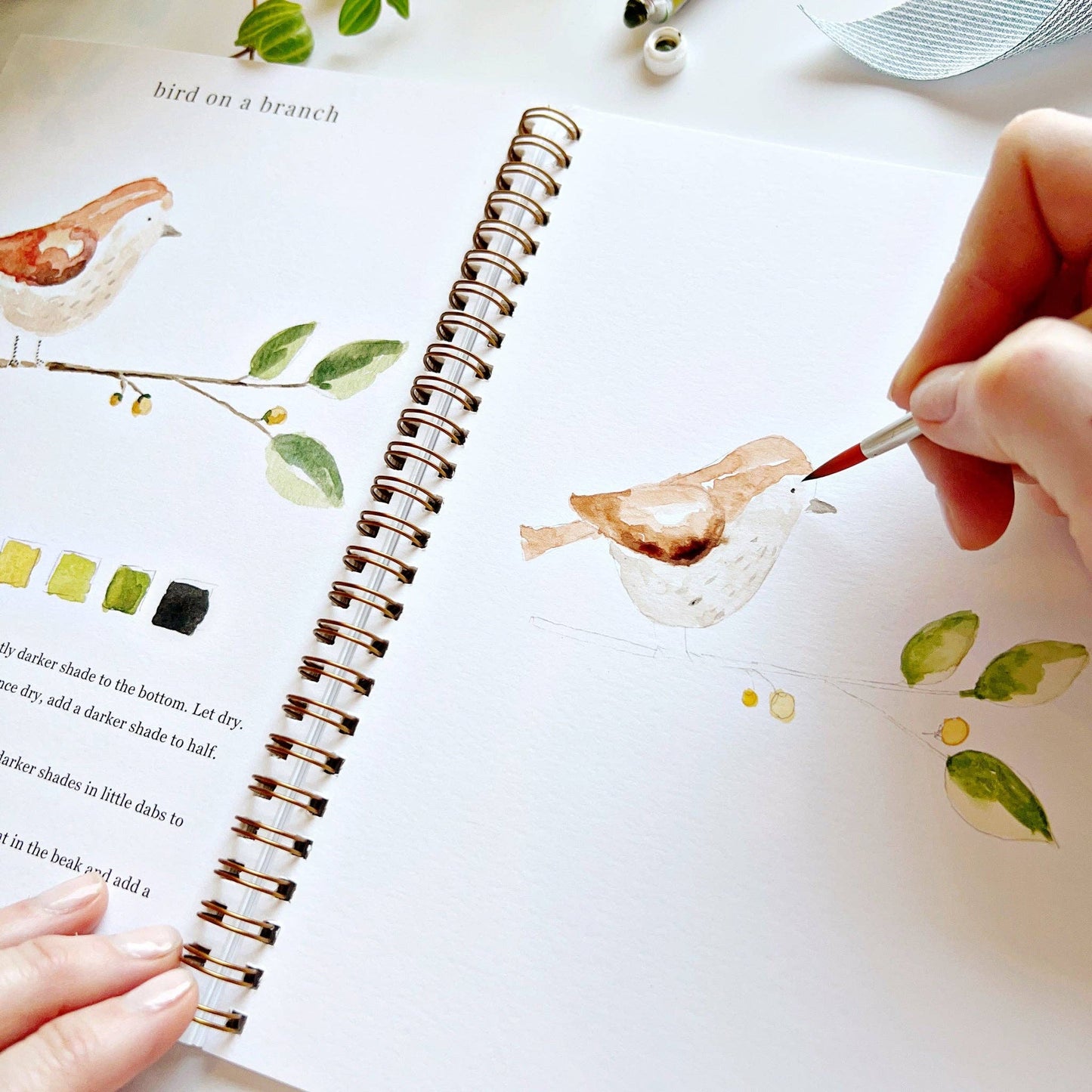 Watercolor Workbook; Animals By Emily Lex Studio