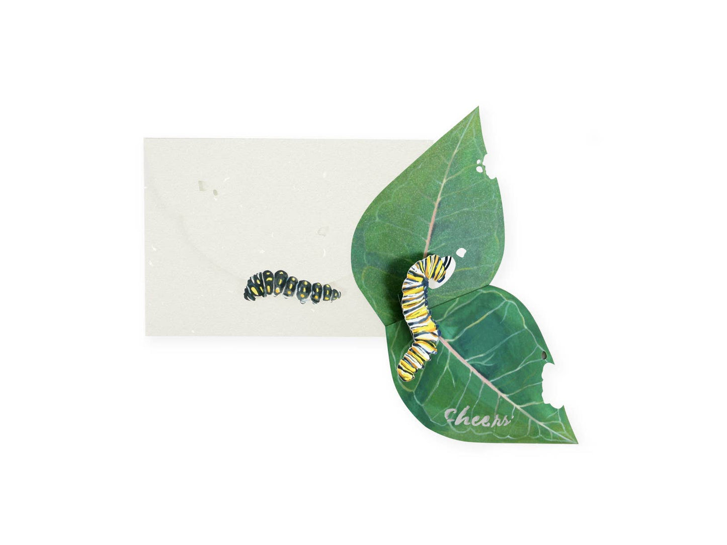 Encouragement Card; Caterpillar (Pop-Up Card)