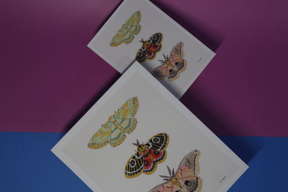 Art Print; Trio Moth (5x7) By XO Whit