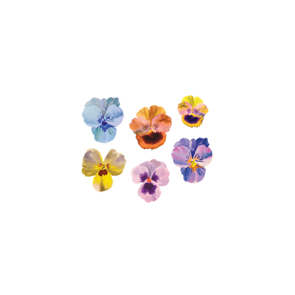 Temporary Tattoo Pack; Pansies