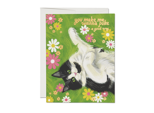 Love/Friendship Card; Nice Kitty