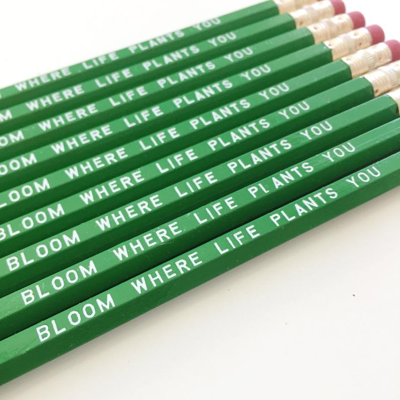 Single Pencils; Bloom Where Life Plants You
