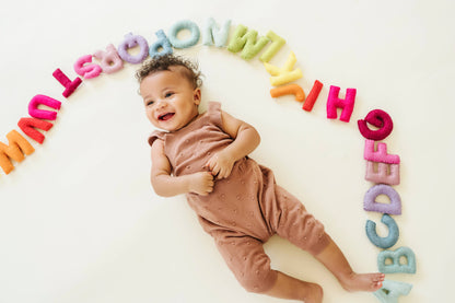 Felt Alphabet Garland: Whimsy (Handcrafted)