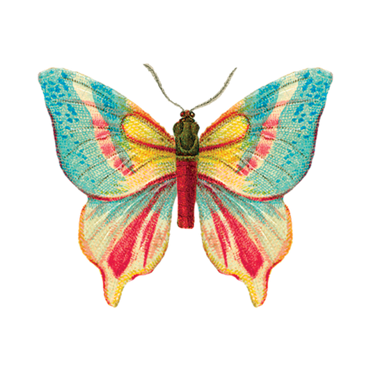 Temporary Tattoo Pack; Colorful Butterfly