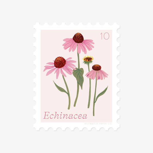 Vinyl Stamp Sticker; Echinacea, October Flower By Botanica Paper Co.