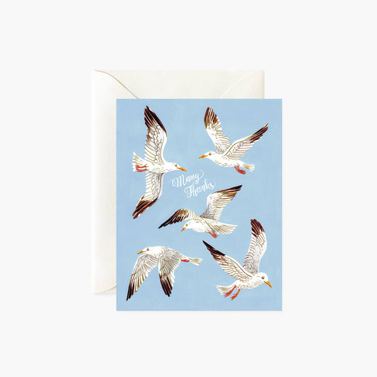 Thank You Card; Many Thanks Seagulls By Botanica Paper Co.